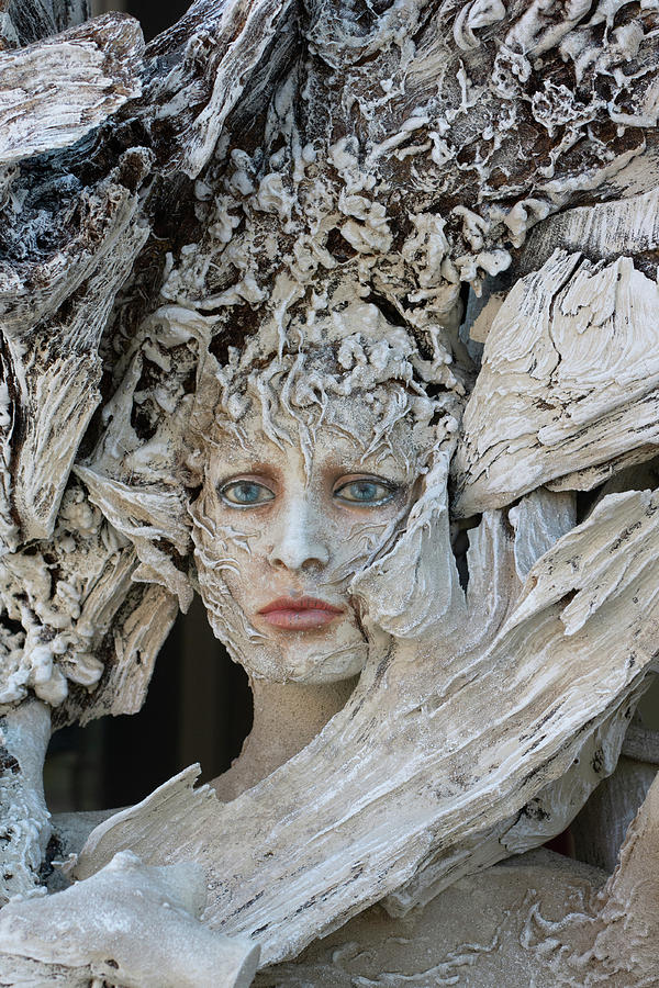 Stunning Sculpture  Photograph by James Canning