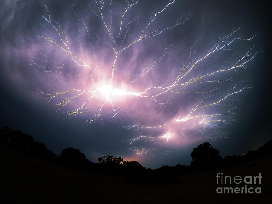 Stunning Spider Lightnings Photograph by Sari ONeal