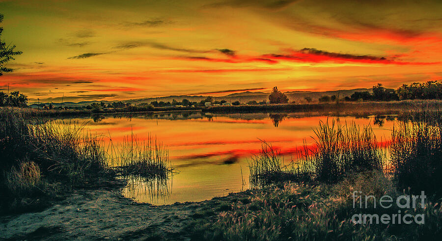 Stunning View From Airport Pond Photograph by Robert Bales