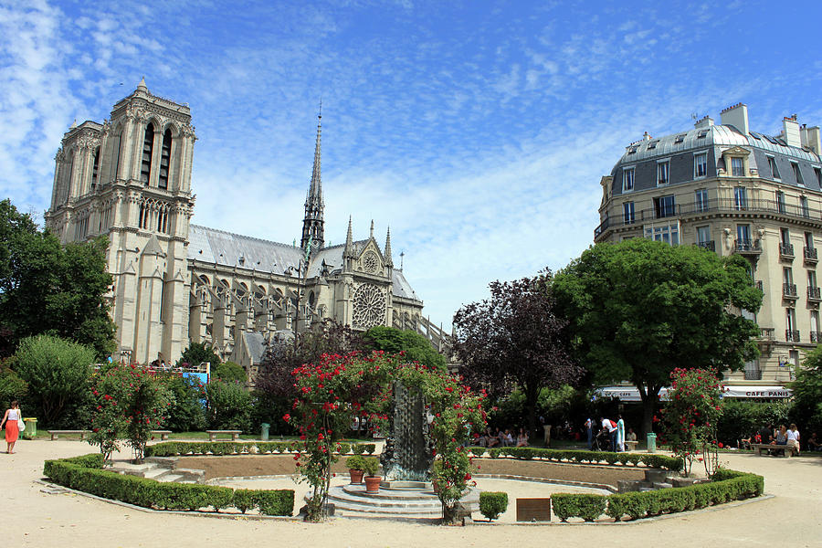 Stunning view of Notre Dame, Paris Photograph by Stefan Lee - Fine Art ...