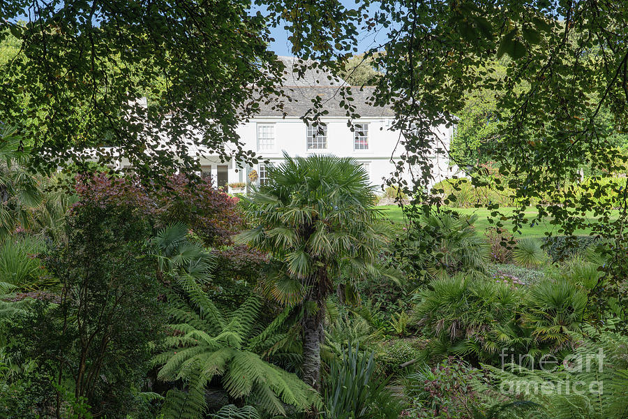 Stunning White House Through the Jungle Trebah Garden Cornwall England Photograph by Wayne Moran