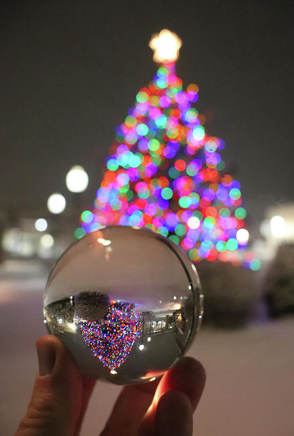 Sturgeon Bay Christmas Tree Lensball Photograph by David T Wilkinson
