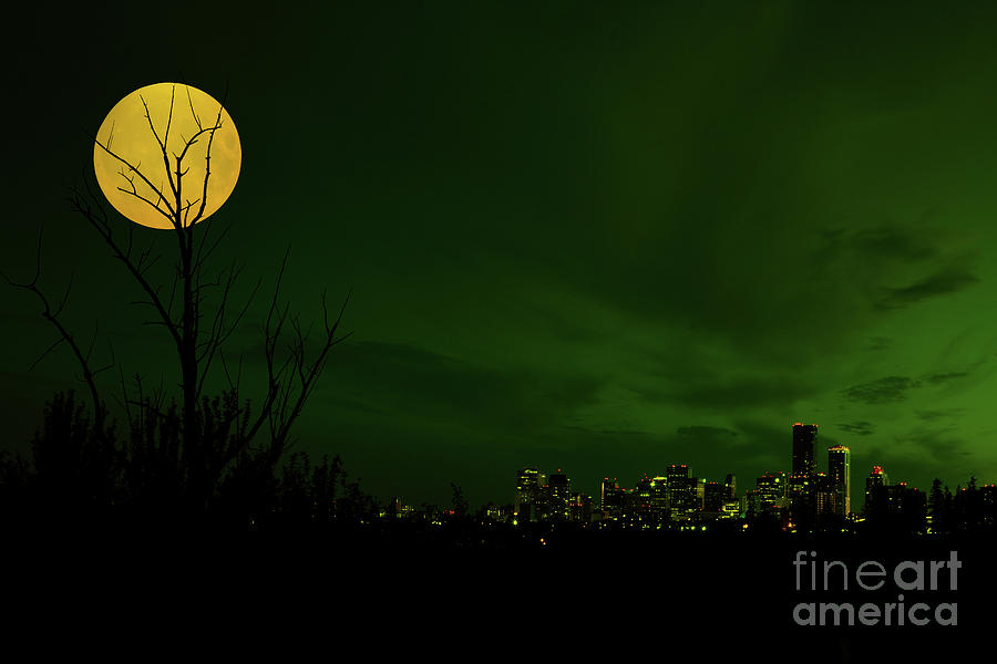 August 1, 2023 Sturgeon Full Moon Over Edmonton Skyline Photograph by Terry Elniski