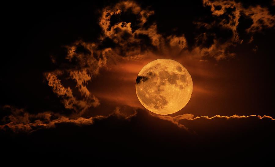 Nature Photograph - Sturgeon Moon  by Saija Lehtonen