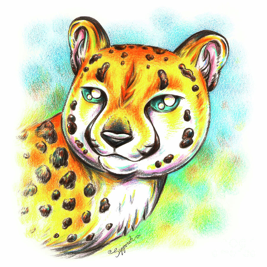 Stylized Cheetah Drawing by Sipporah Art and Illustration