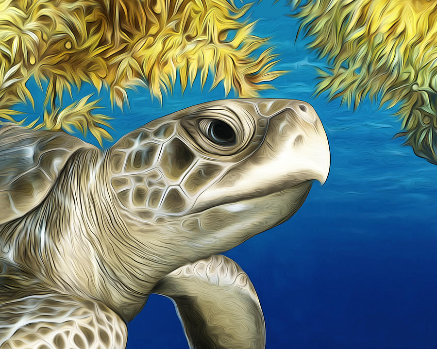 Stylized Kemp's Ridley Sea Turtle Mixed Media by Dawn Witherington ...