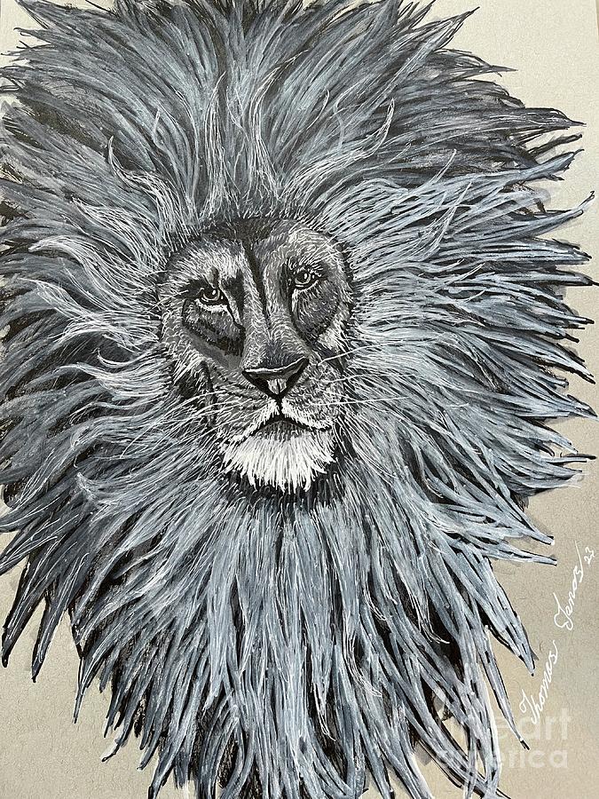 Stylized Lion Drawing by Thomas Janos