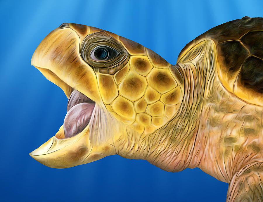 Stylized Loggerhead Open Mouth Mixed Media by Dawn Witherington - Pixels