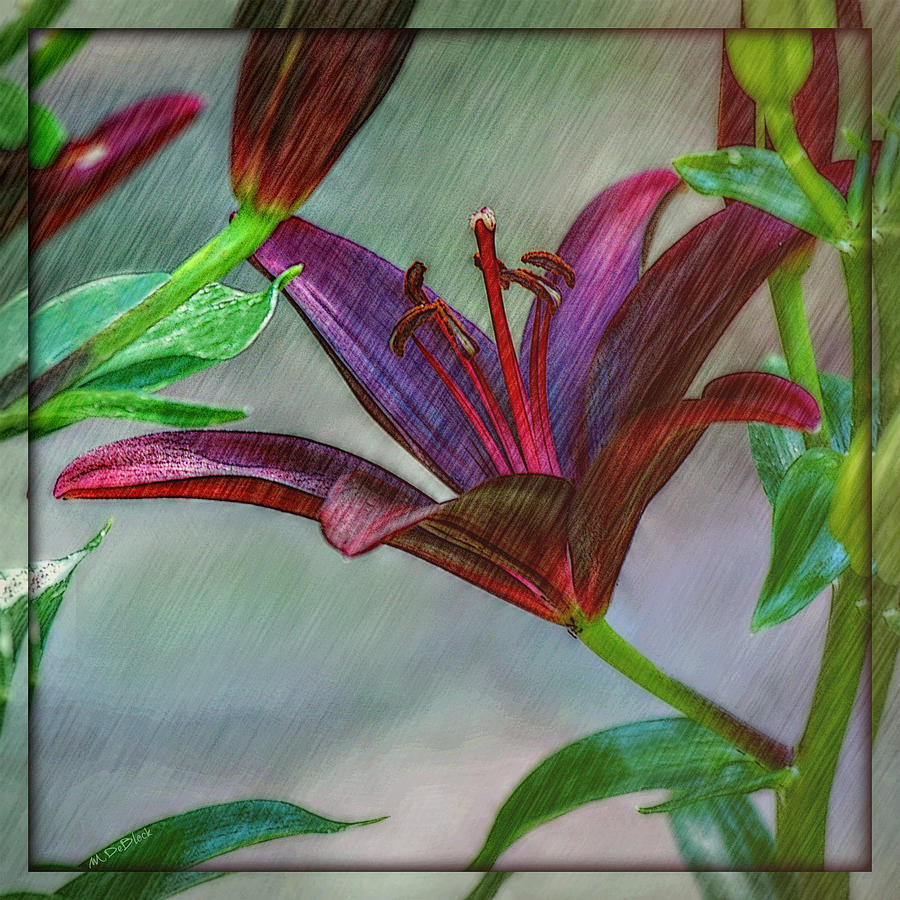 Lily Photograph - Stylized Oriental Lily Square Format by Marilyn DeBlock