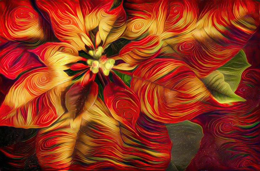 Stylized Poinsettia  Digital Art by Teresa Wilson