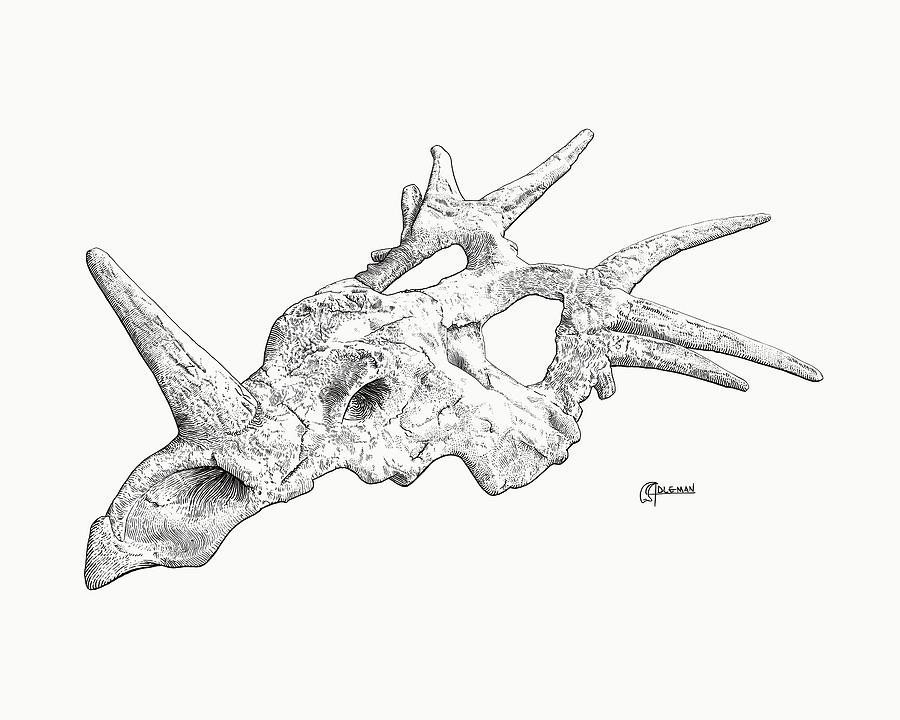 Styracosaurus BW Digital Art by Rick Adleman