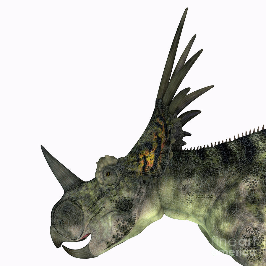 Styracosaurus Dinosaur Head Digital Art by Corey Ford