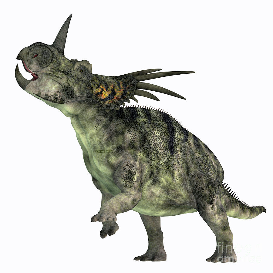 Styracosaurus Dinosaur Over White Digital Art