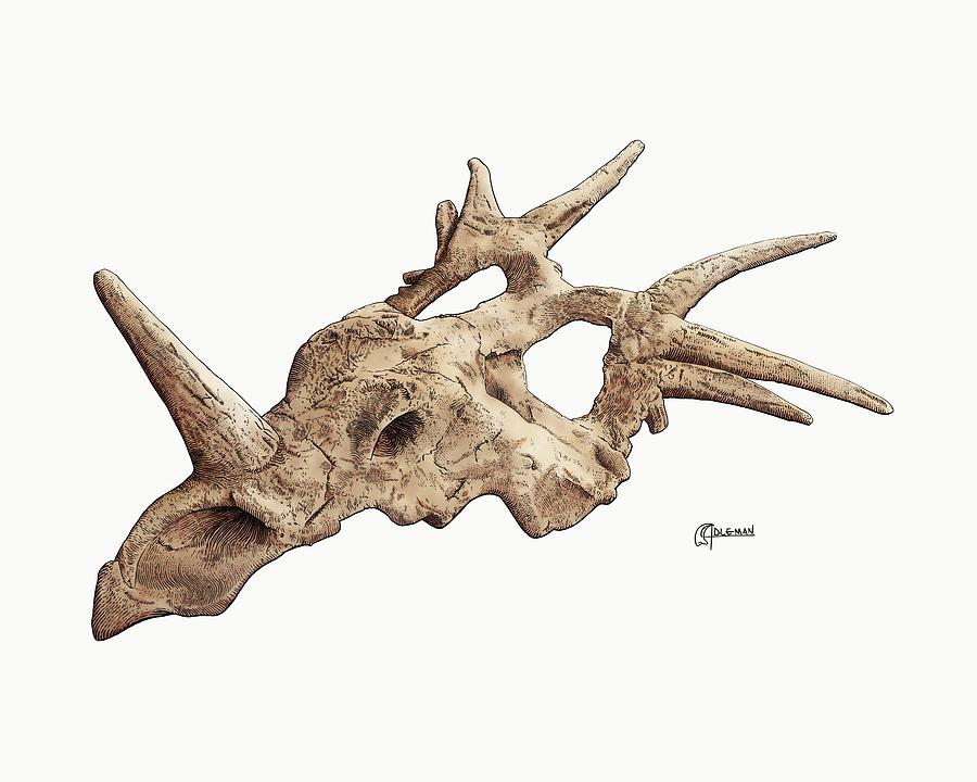 Styracosaurus  Digital Art by Rick Adleman