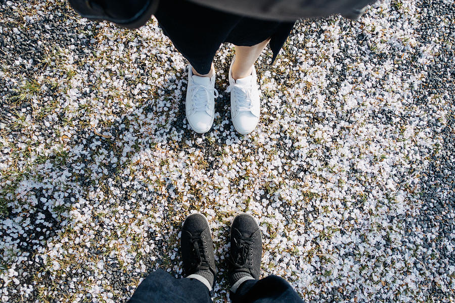 Subject view of the low section of a loving couple on gravel path with fallen cherry blossom petals Photograph by D3sign