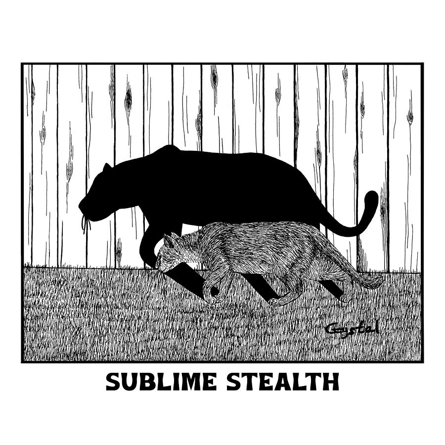 Sublime Stealth of a House Panther - tabby as a panther illustration ...