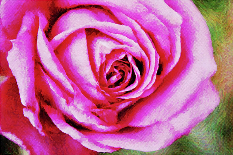 Subtle Abstract Rose in Pink Digital Art by Gaby Ethington