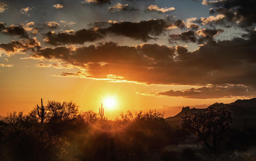 Subtle Desert Sunset  Photograph by Saija Lehtonen
