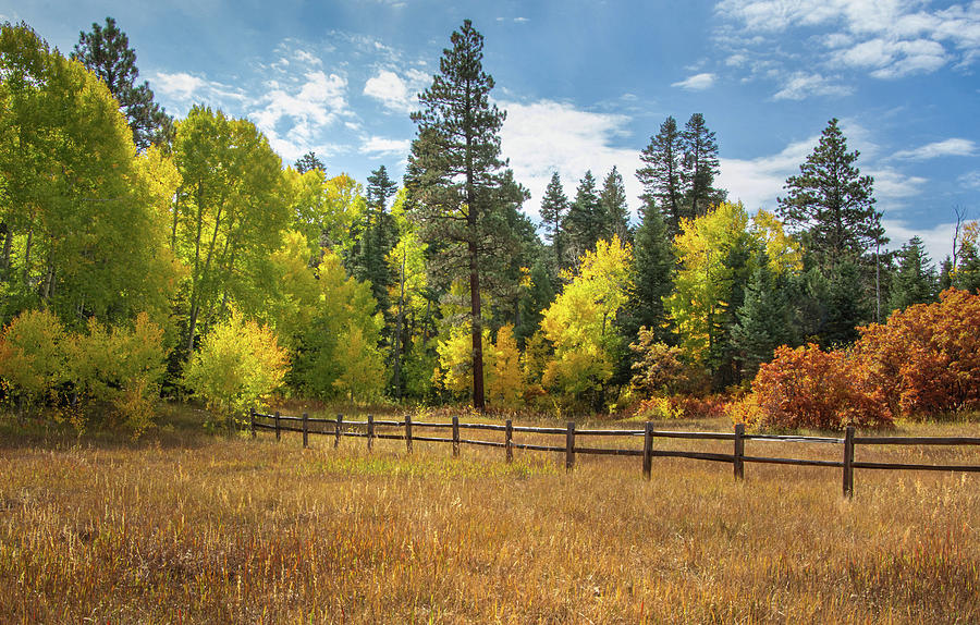 Subtle Splendor of New Mexicos Autumn Meadow Photograph by Rebecca Herranen