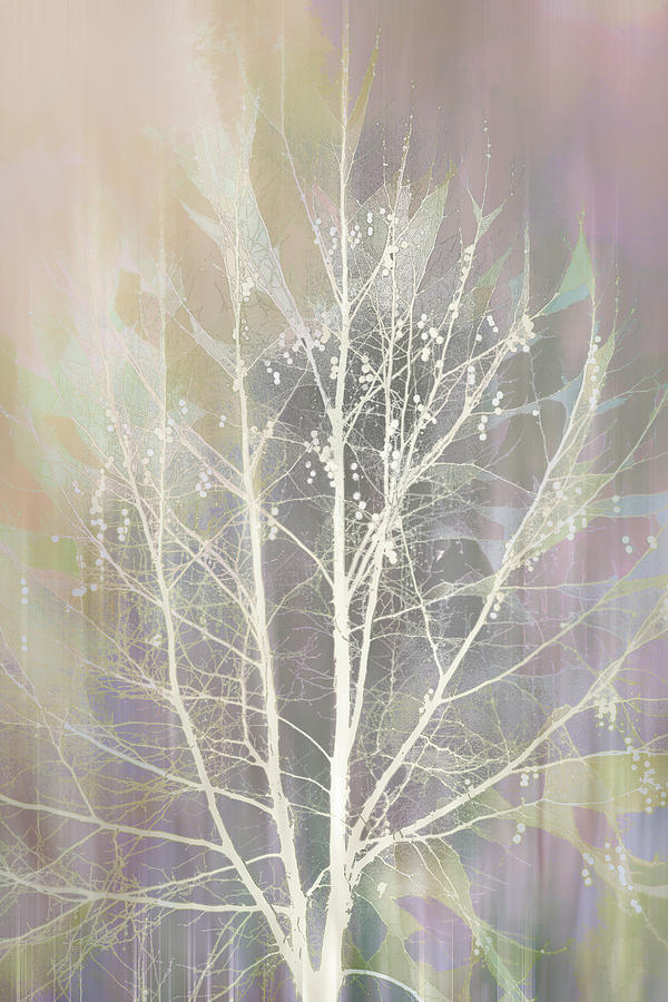 Subtle Winter Beauty Digital Art by Terry Davis
