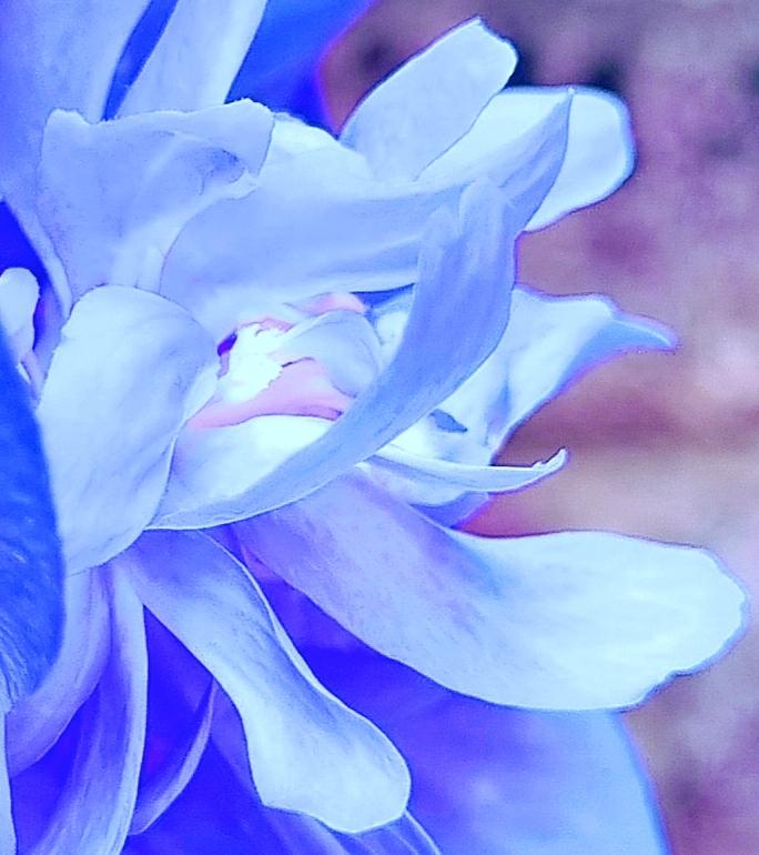 Subtly Blue And Lavender Digital Art
