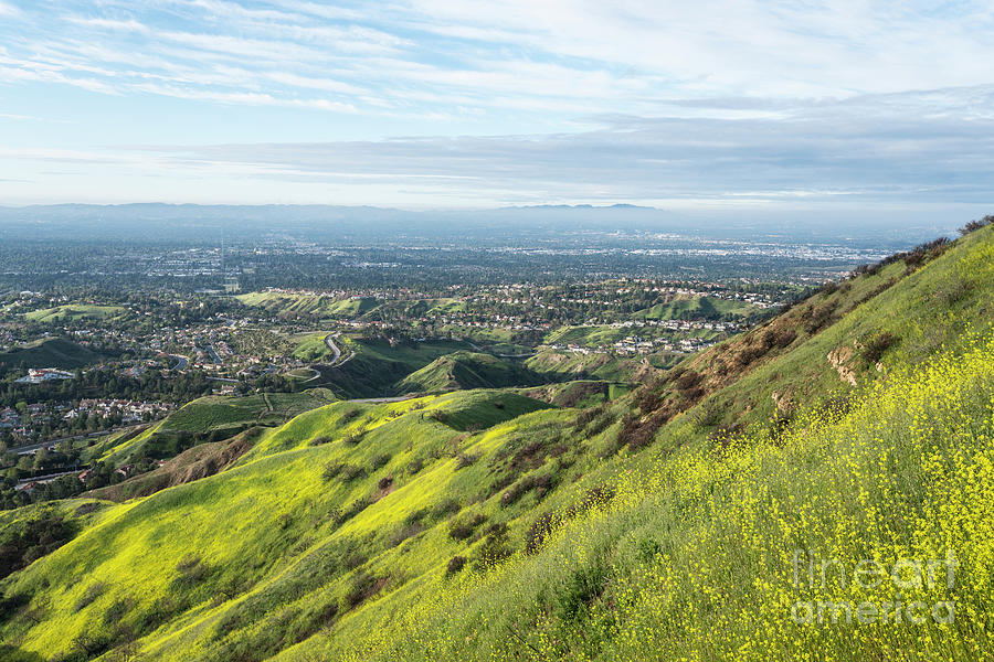 Los Angeles Photograph - Suburban Wildflower Hills North Los Angeles California  by Trekkerimages Photography