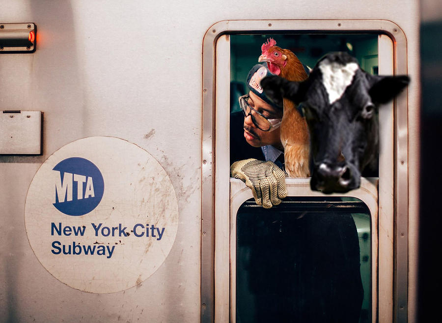 Subway to the city Photograph by James Bethanis