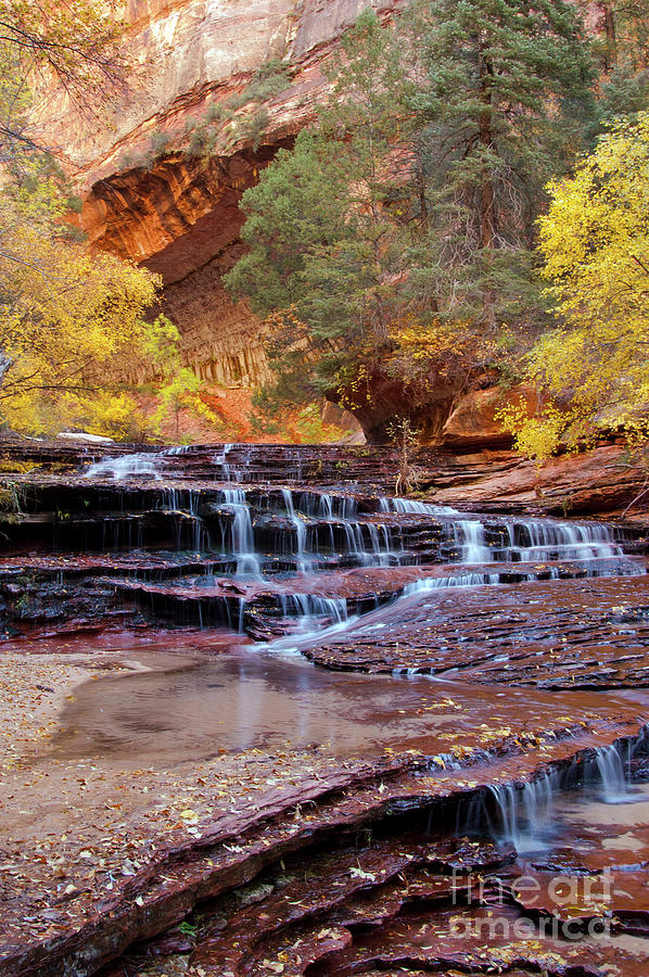 Zion National Park Photograph - Subway Trail by Bob Phillips
