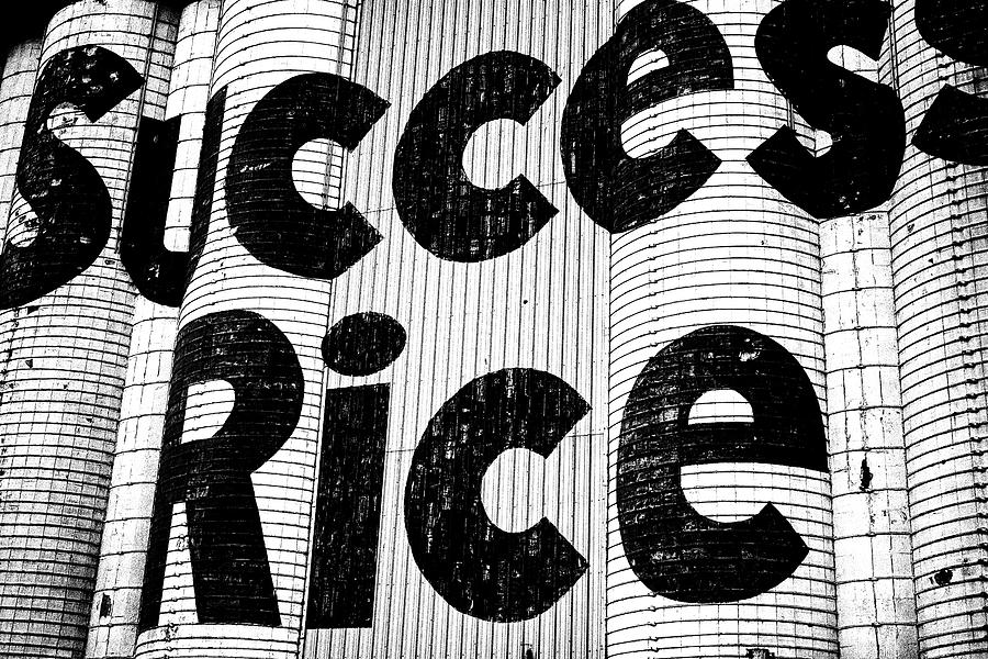 Success Rice Photograph by Glen Carpenter