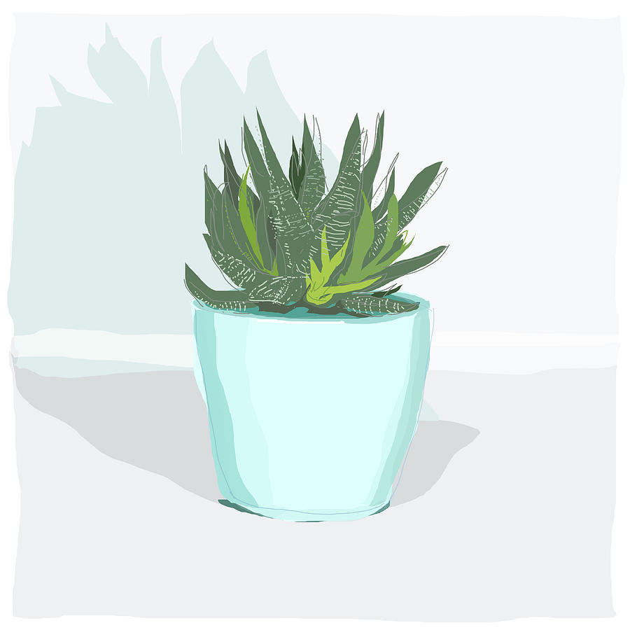 0065-Succulent Blue Drawing by Anke Classen