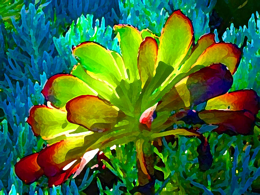 Succulent Backlit on Blue 1 Painting by Amy Vangsgard