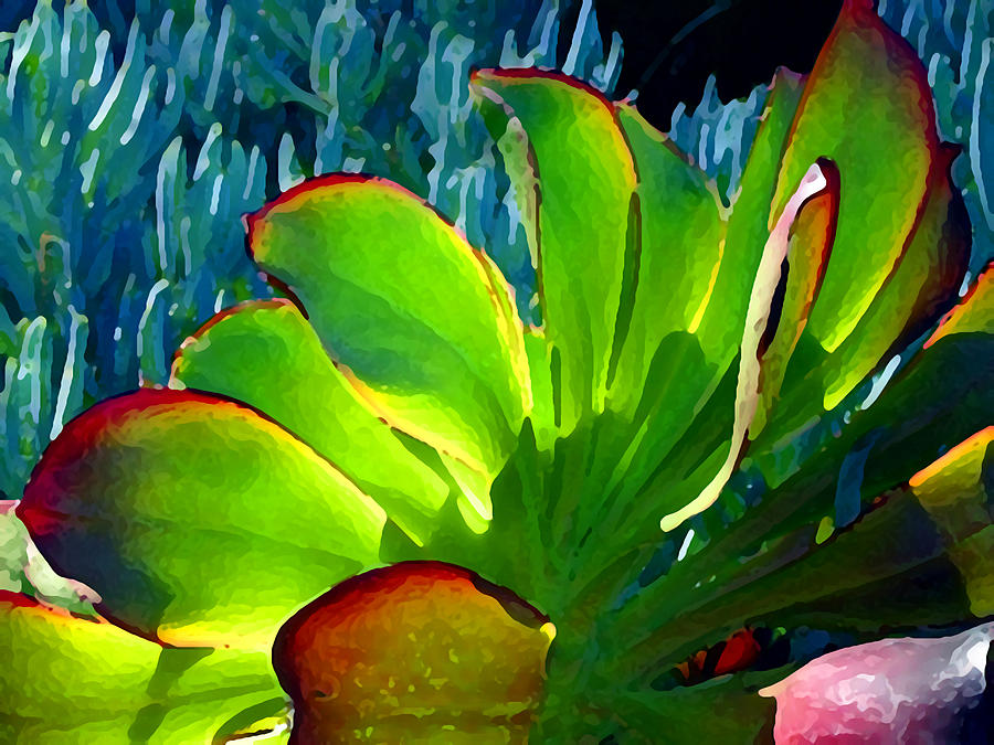 Landscape Painting - Succulent Backlit on Blue 5 by Amy Vangsgard