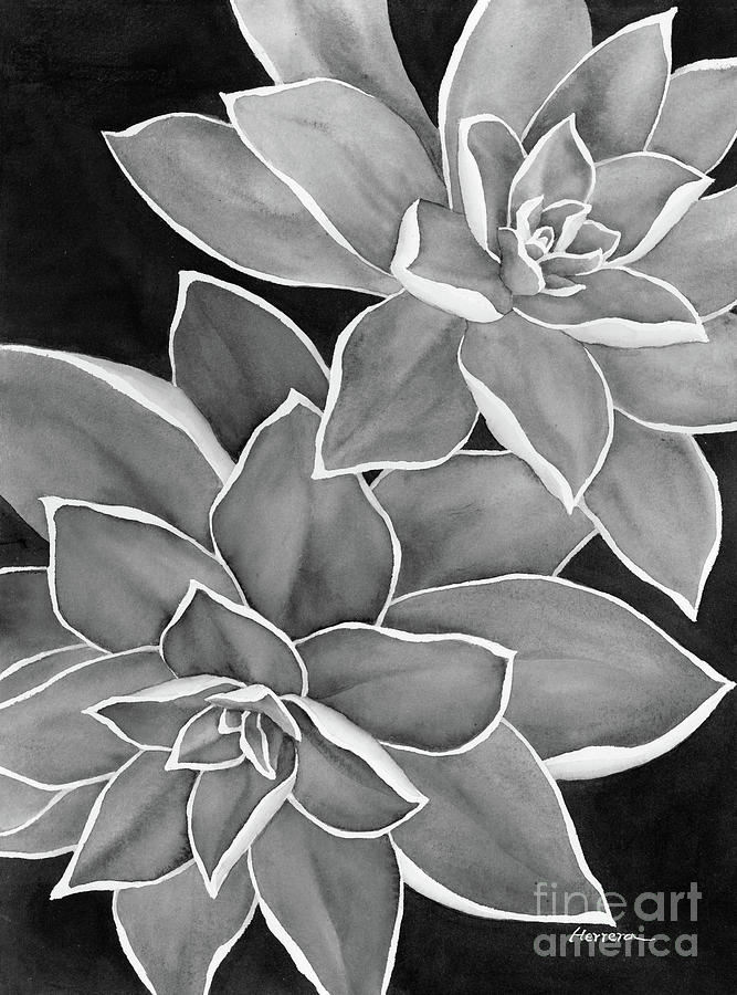 Succulent Duo 2 In Black And White Painting