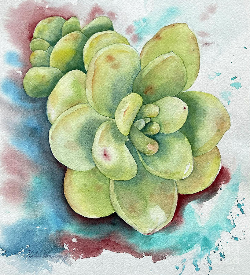 Succulent Painting