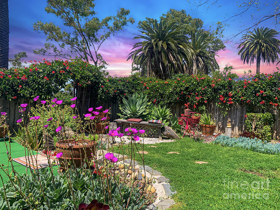 Succulent Home Garden Photograph by David Zanzinger