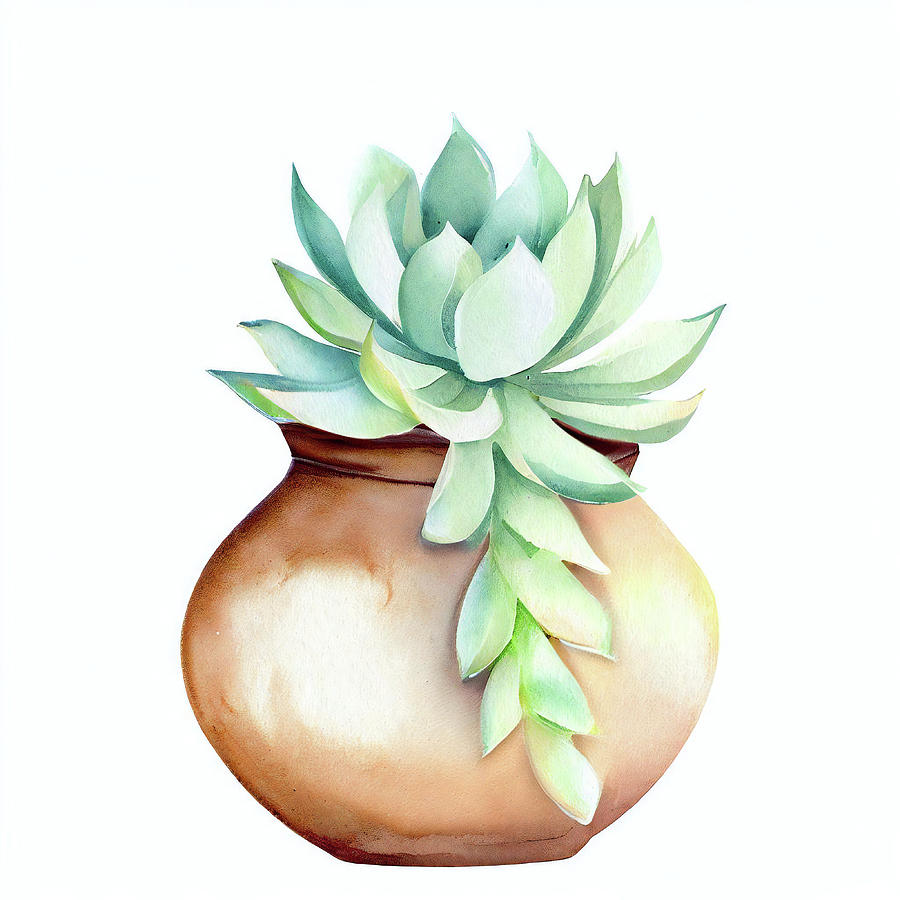 Succulent in a Clay Pot Digital Art by Alison Frank