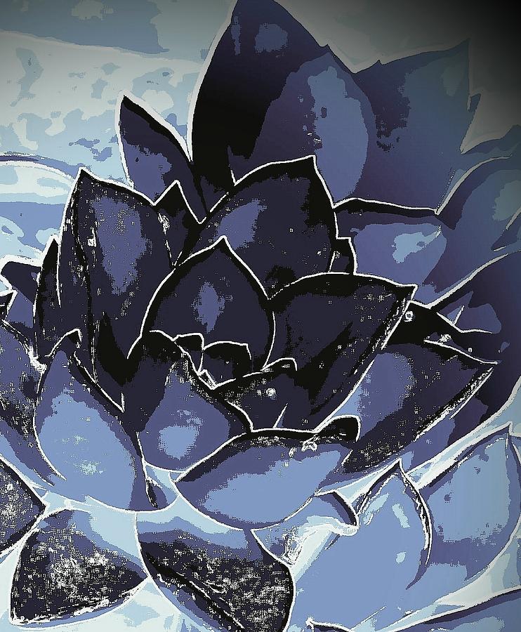 Succulent in Navy Photograph by Loraine Yaffe
