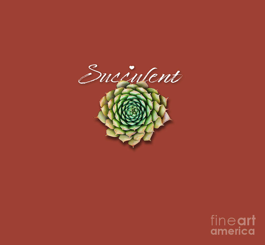 Succulent love Painting by Robert Corsetti