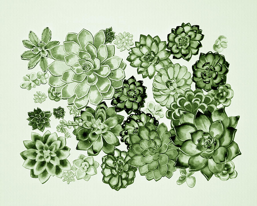 Succulent Plants Wall Contemporary Garden Design In Moss Green   Painting by Irina Sztukowski