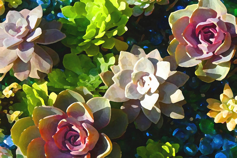 Succulent Pond 2 Painting by Amy Vangsgard
