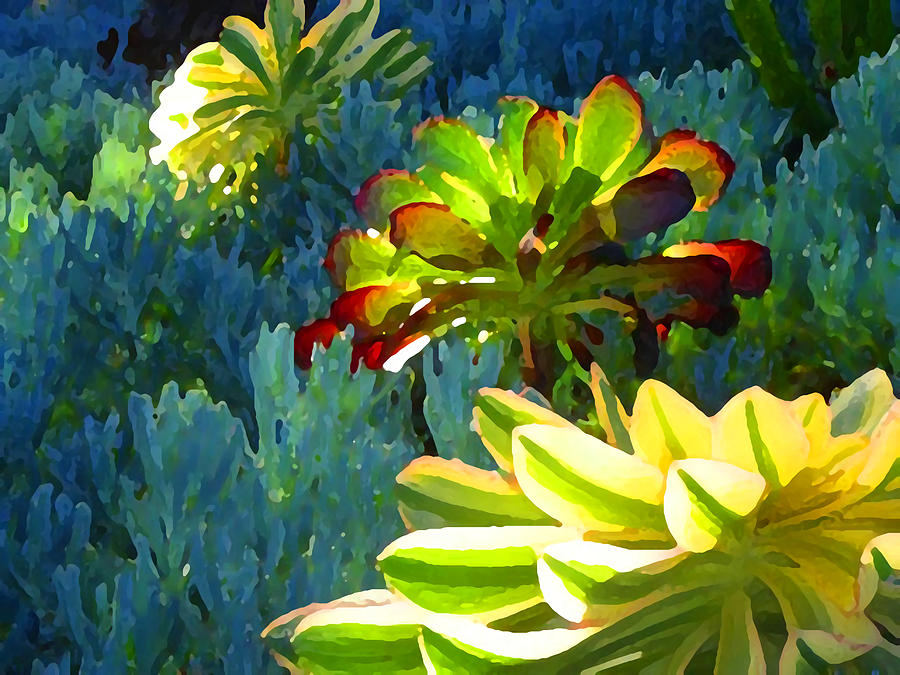 Landscape Painting - Succulents Backlit on Blue 2 by Amy Vangsgard