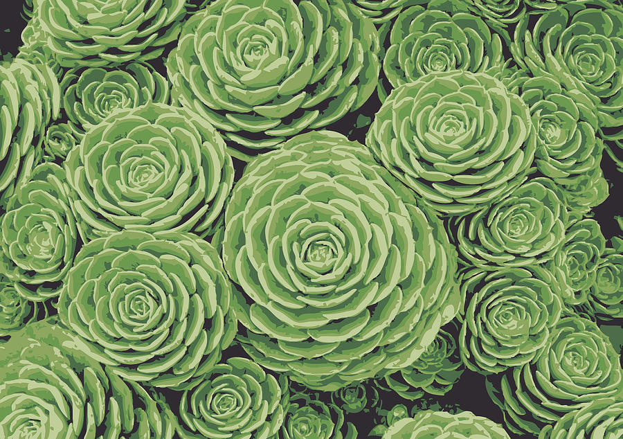 Succulents Digital Art by Eclectic at Heart