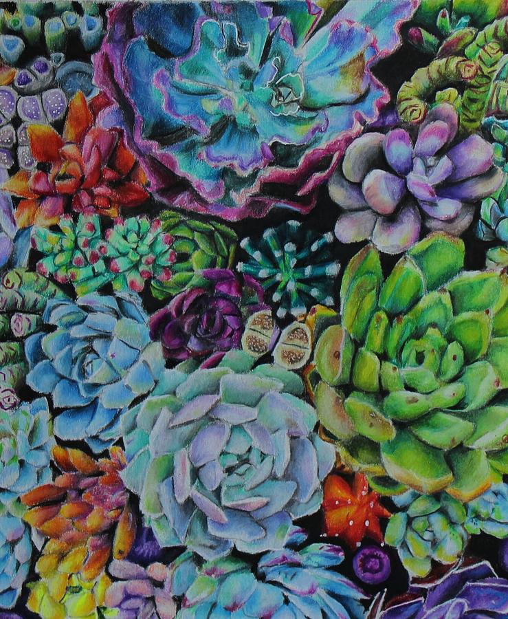 Succulents Drawing by Elizabeth England - Fine Art America