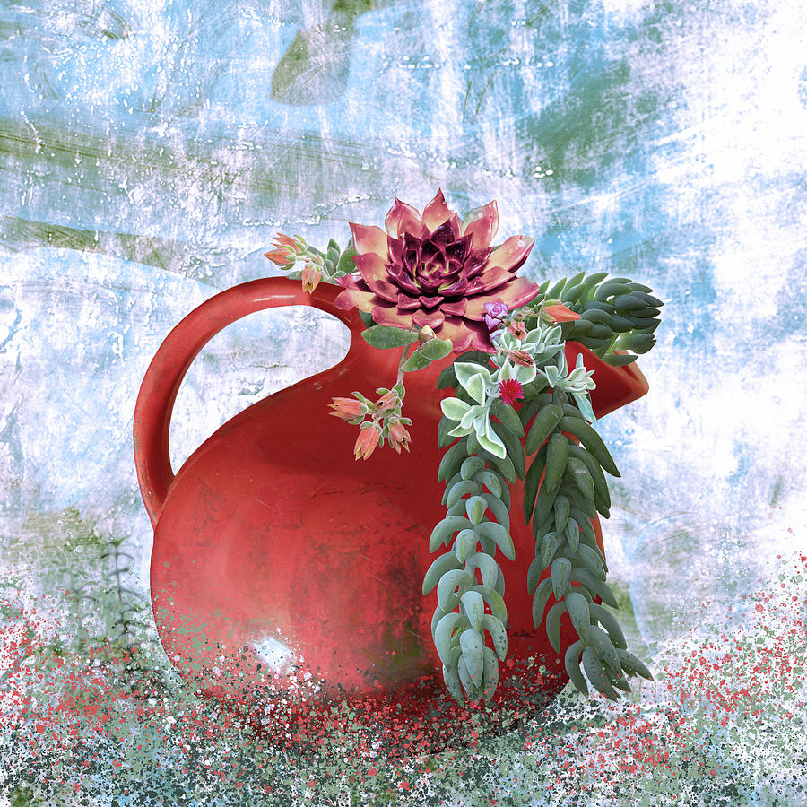 Succulents in a Retro Red Pitcher Digital Art by Sherrie Triest
