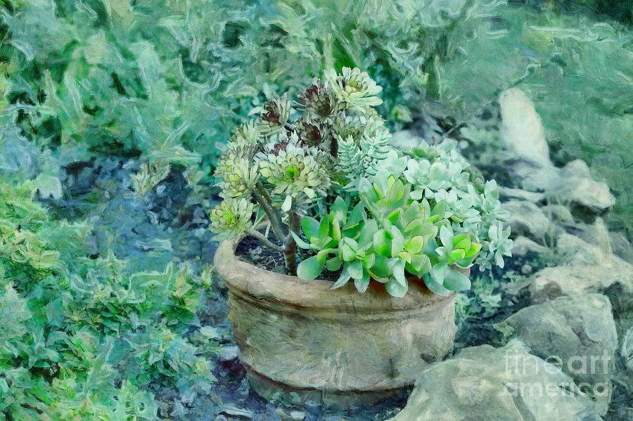 Succulents in the Garden Painting by Eva Lechner