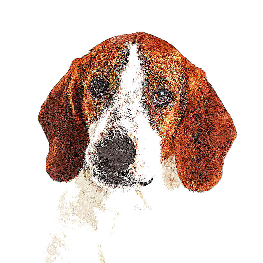 Such a looker, Basset Hound Dog Painting by Custom Pet Portrait Art Studio