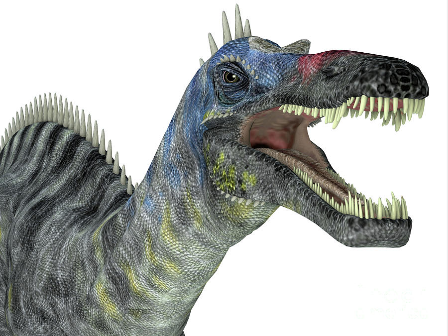 Suchomimus Dinosaur Head Digital Art by Corey Ford