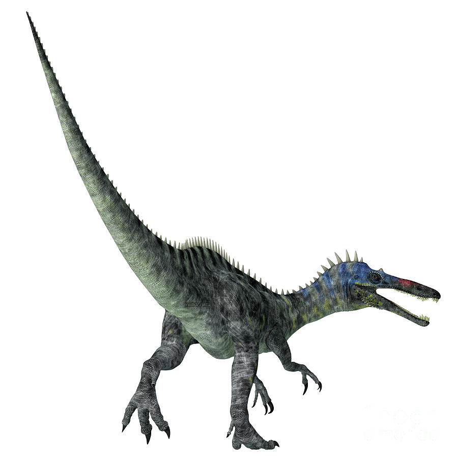 Suchomimus Dinosaur Tail Digital Art by Corey Ford
