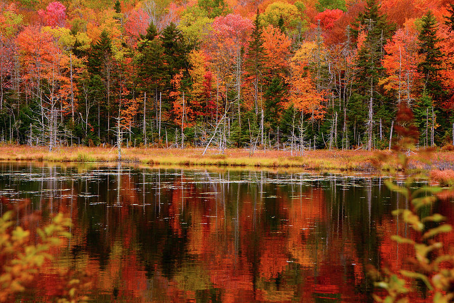 Sucker Pond Vermont Photograph by Raymond Salani III