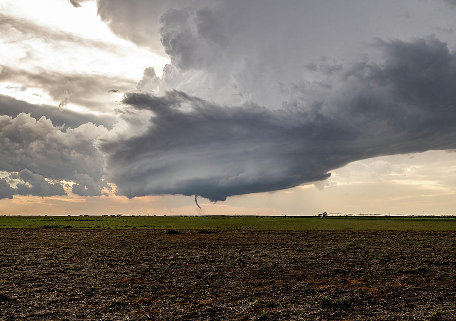 Sudan, TX Tornado Photograph by Marcus Hustedde